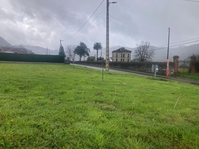 Mark till salu i Ribera de Arriba - 70 000 € (Ref: 8920969)