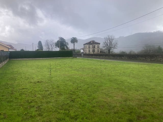 Mark till salu i Ribera de Arriba - 70 000 € (Ref: 8920969)