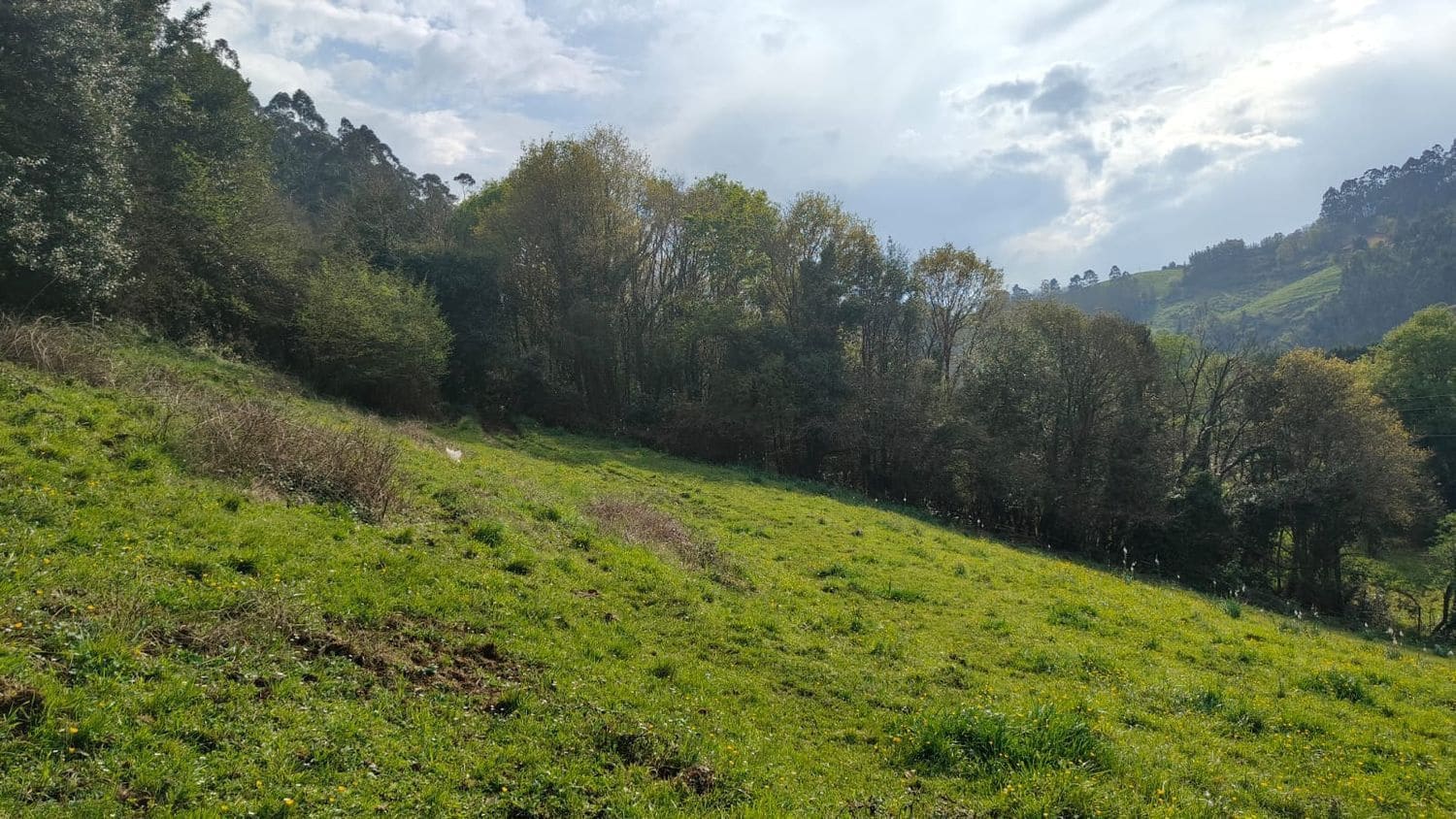 Mark till salu i Gijon - 55 000 € (Ref: 8941039)