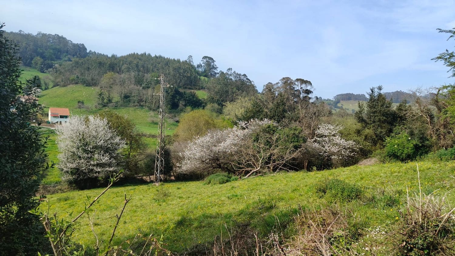 Mark till salu i Gijon - 55 000 € (Ref: 8941039)