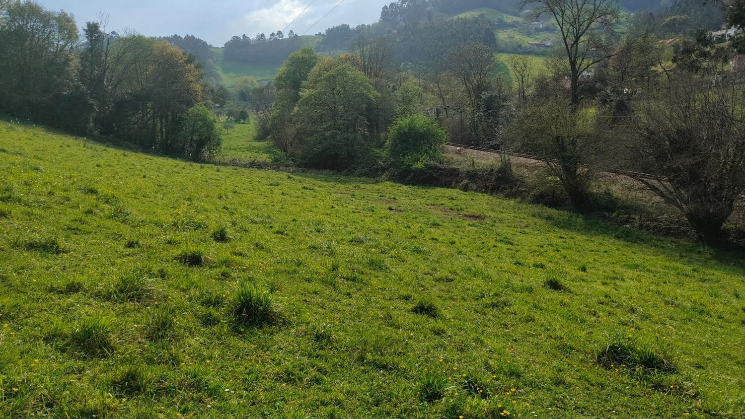 Mark till salu i Gijon - 55 000 € (Ref: 8941039)