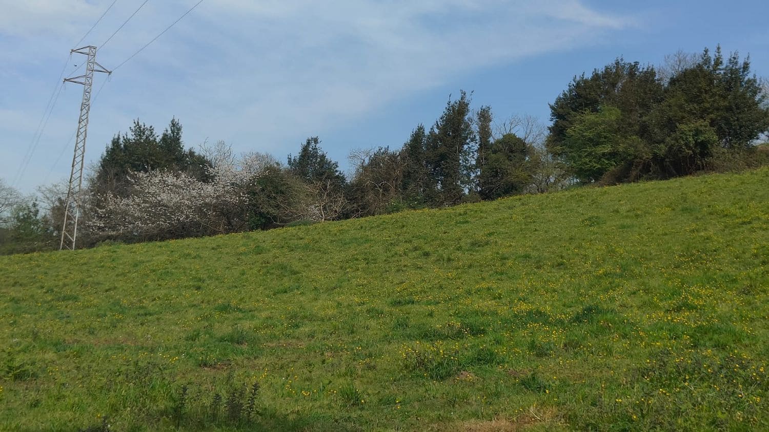 Mark till salu i Gijon - 55 000 € (Ref: 8941039)