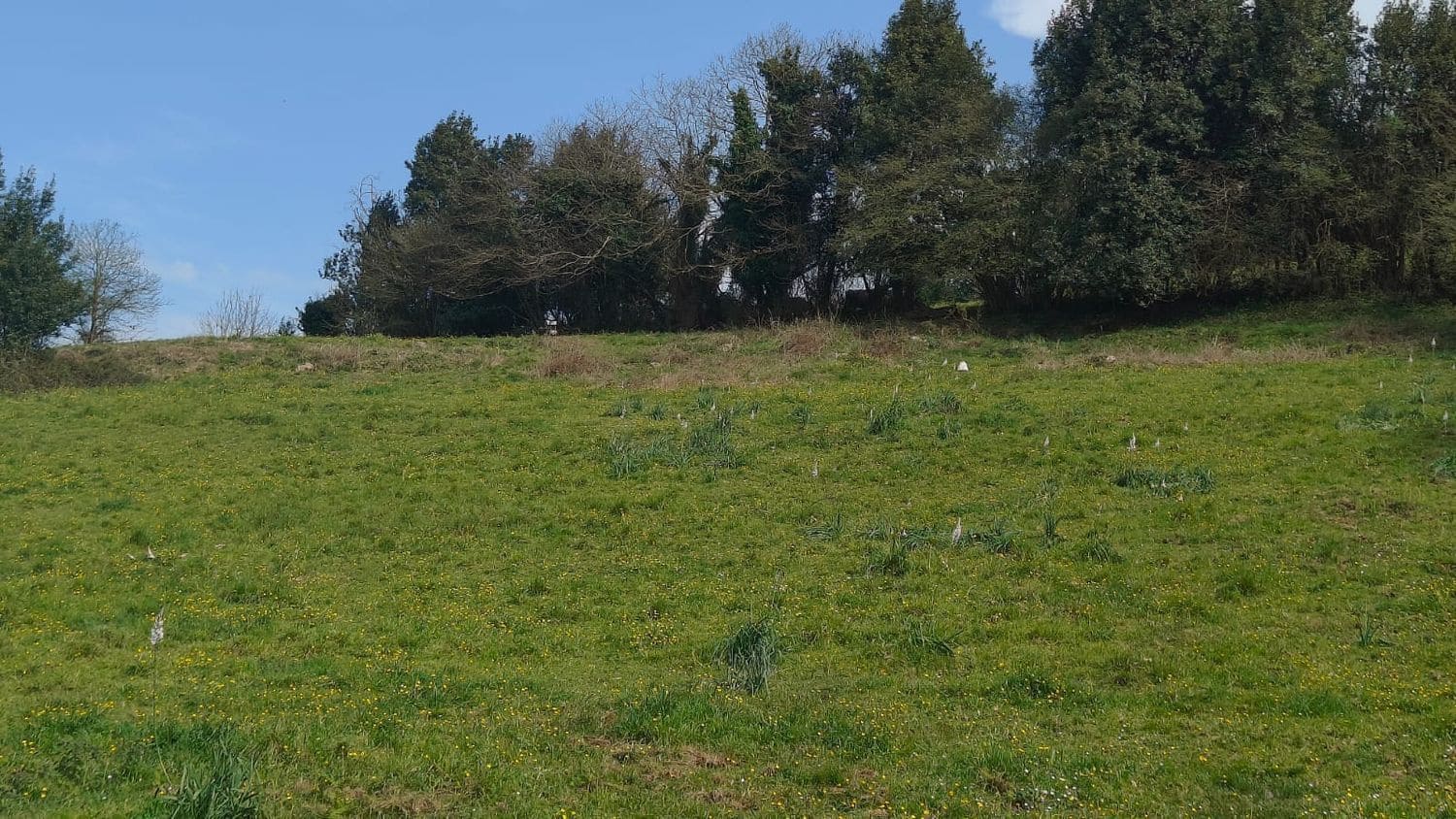 Mark till salu i Gijon - 55 000 € (Ref: 8941039)