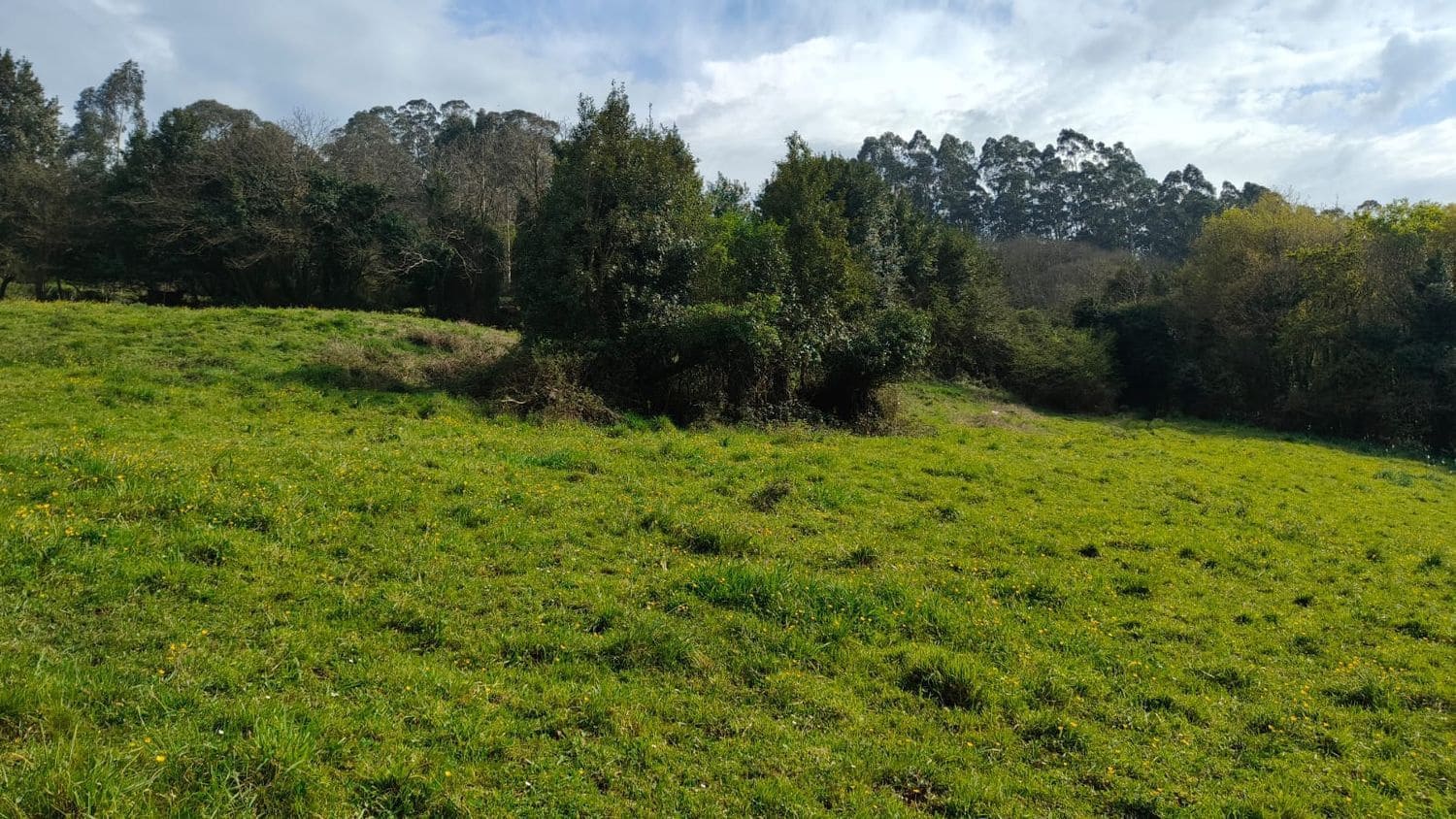 Mark till salu i Gijon - 55 000 € (Ref: 8941039)