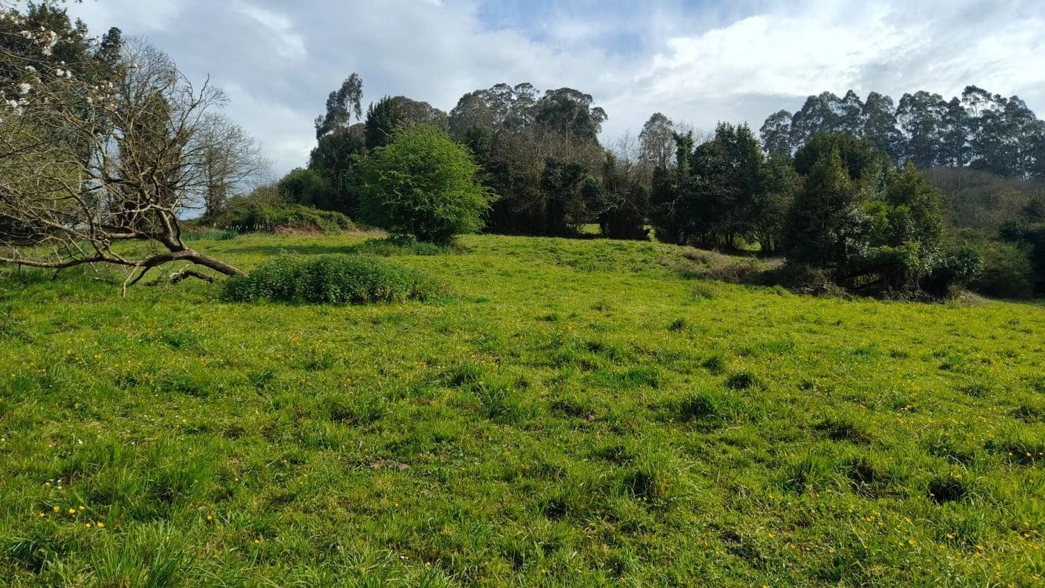 Mark till salu i Gijon - 55 000 € (Ref: 8941039)