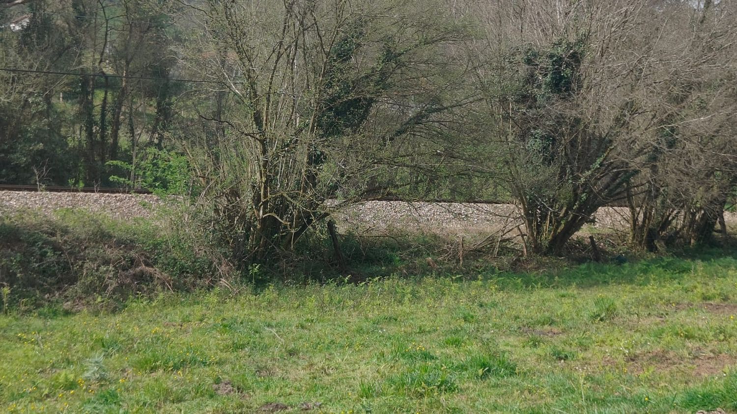 Mark till salu i Gijon - 55 000 € (Ref: 8941039)