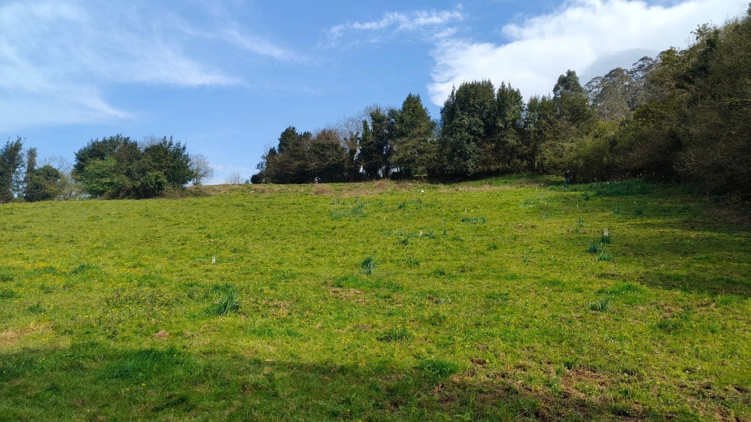 Mark till salu i Gijon - 55 000 € (Ref: 8941039)