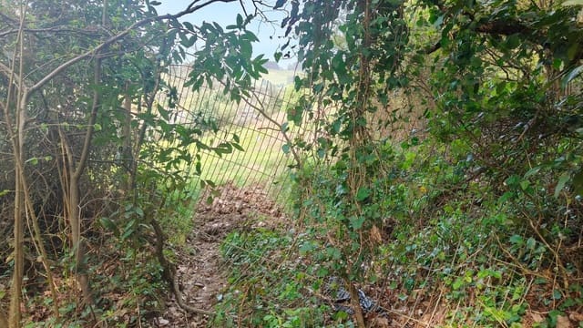 Undeveloped Land for sale in Gijón - € 55,000 (Ref: 8941039)