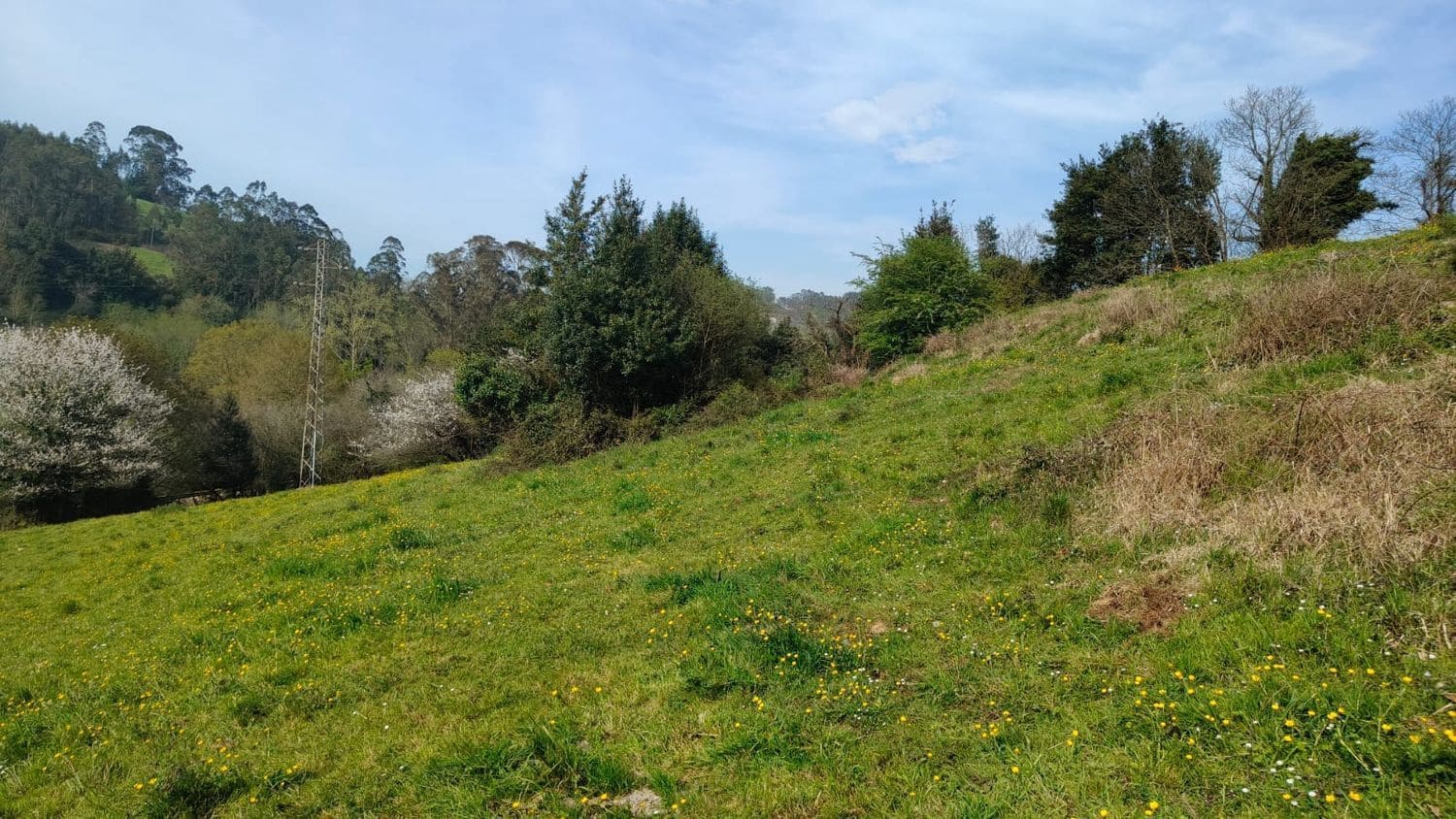 Mark till salu i Gijon - 55 000 € (Ref: 8941039)