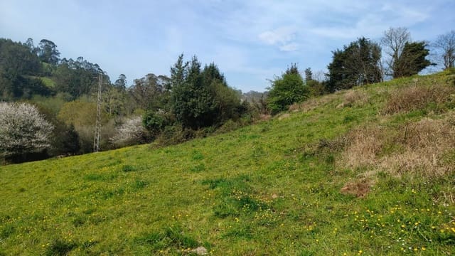 Undeveloped Land for sale in Gijón - € 55,000 (Ref: 8941039)