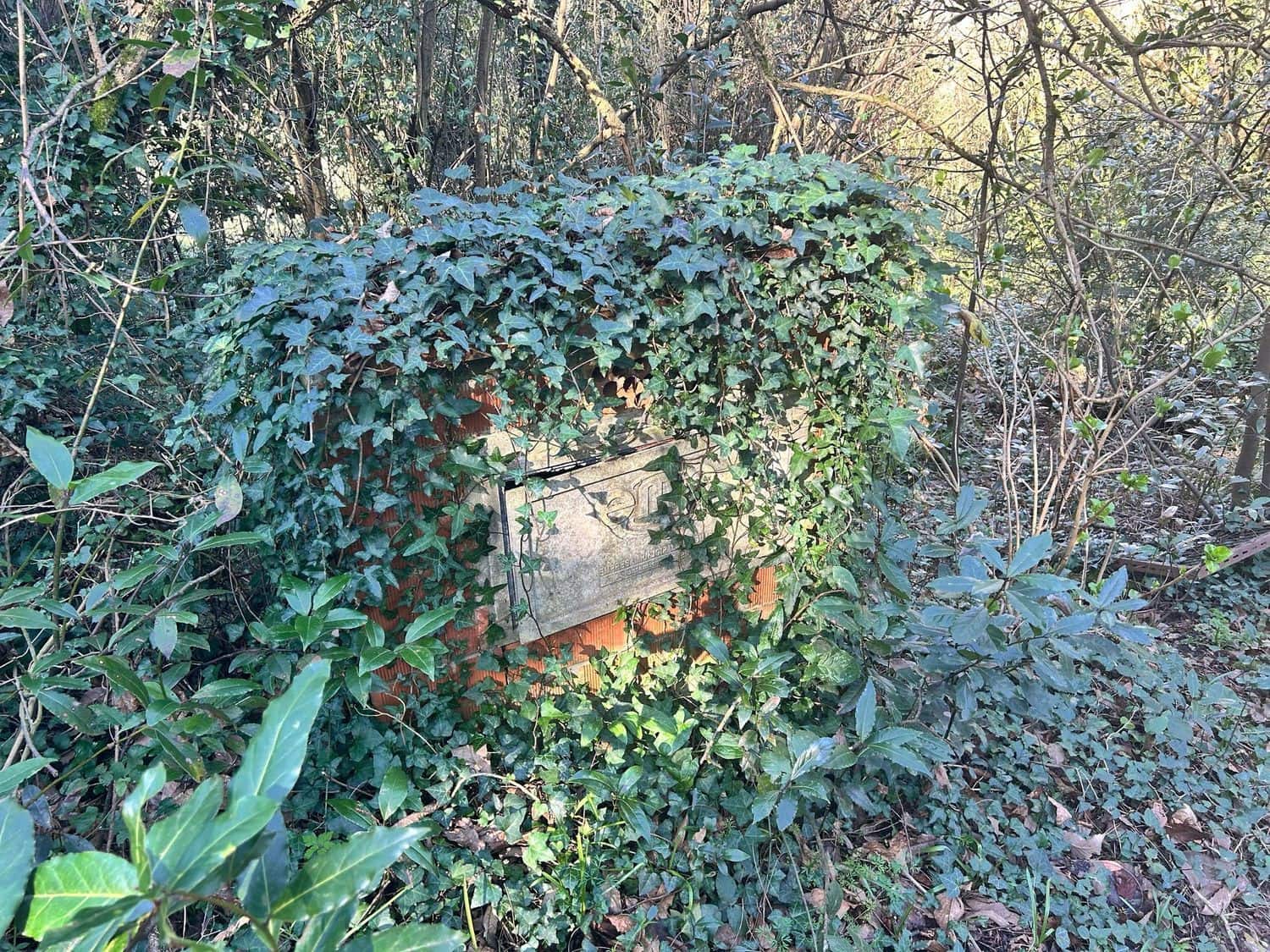 Mark till salu i Gijon - 55 000 € (Ref: 8941039)