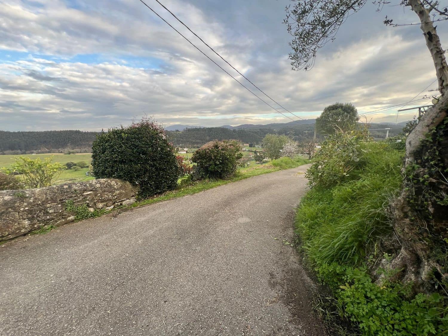 Grunde uden byggetilladelser til salg i Castrillon - € 85.000 (Ref: 8942557)