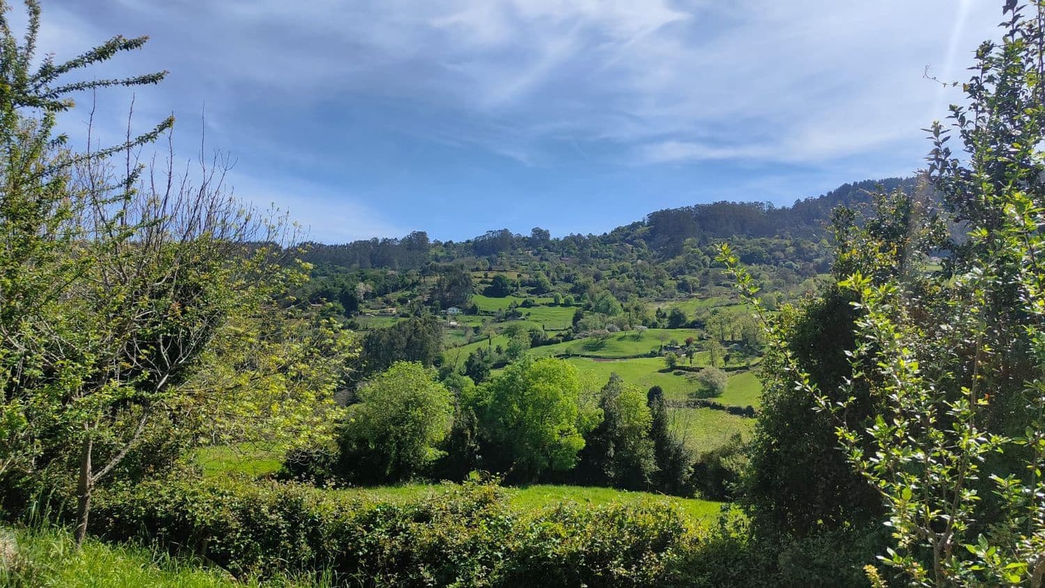 Grond te koop in Gijon - € 36.000 (Ref: 8956872)