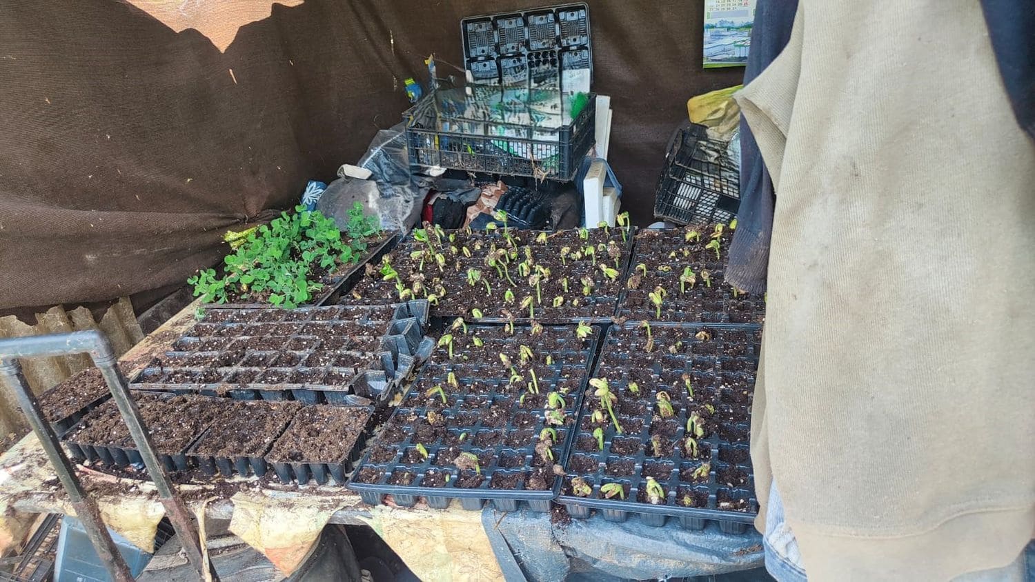 Grond te koop in Gijon - € 36.000 (Ref: 8956872)