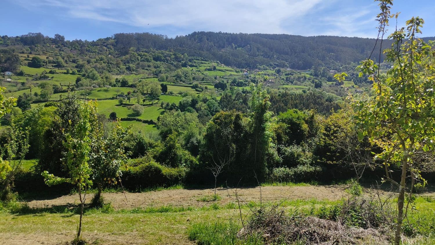 Grond te koop in Gijon - € 36.000 (Ref: 8956872)