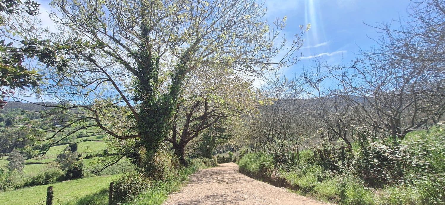 Grond te koop in Gijon - € 36.000 (Ref: 8956872)