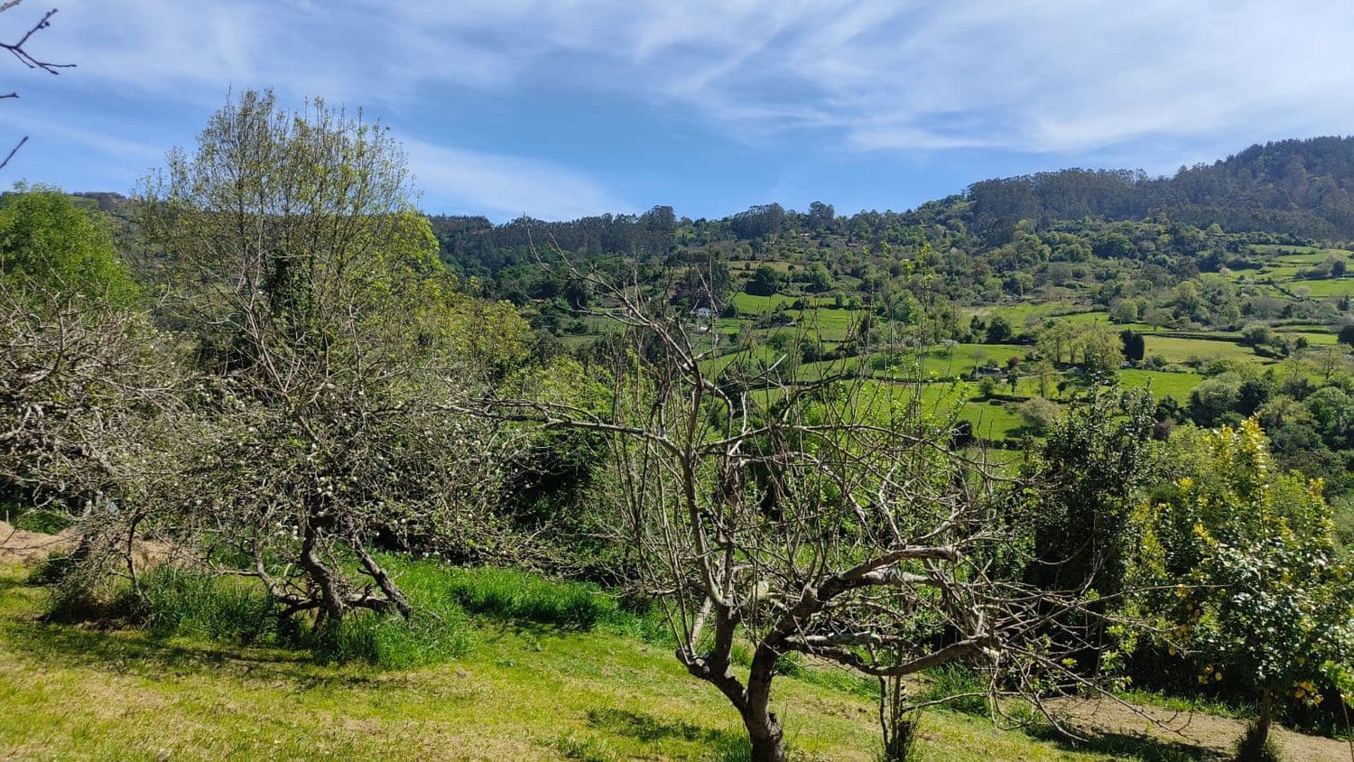 Grond te koop in Gijon - € 36.000 (Ref: 8956872)