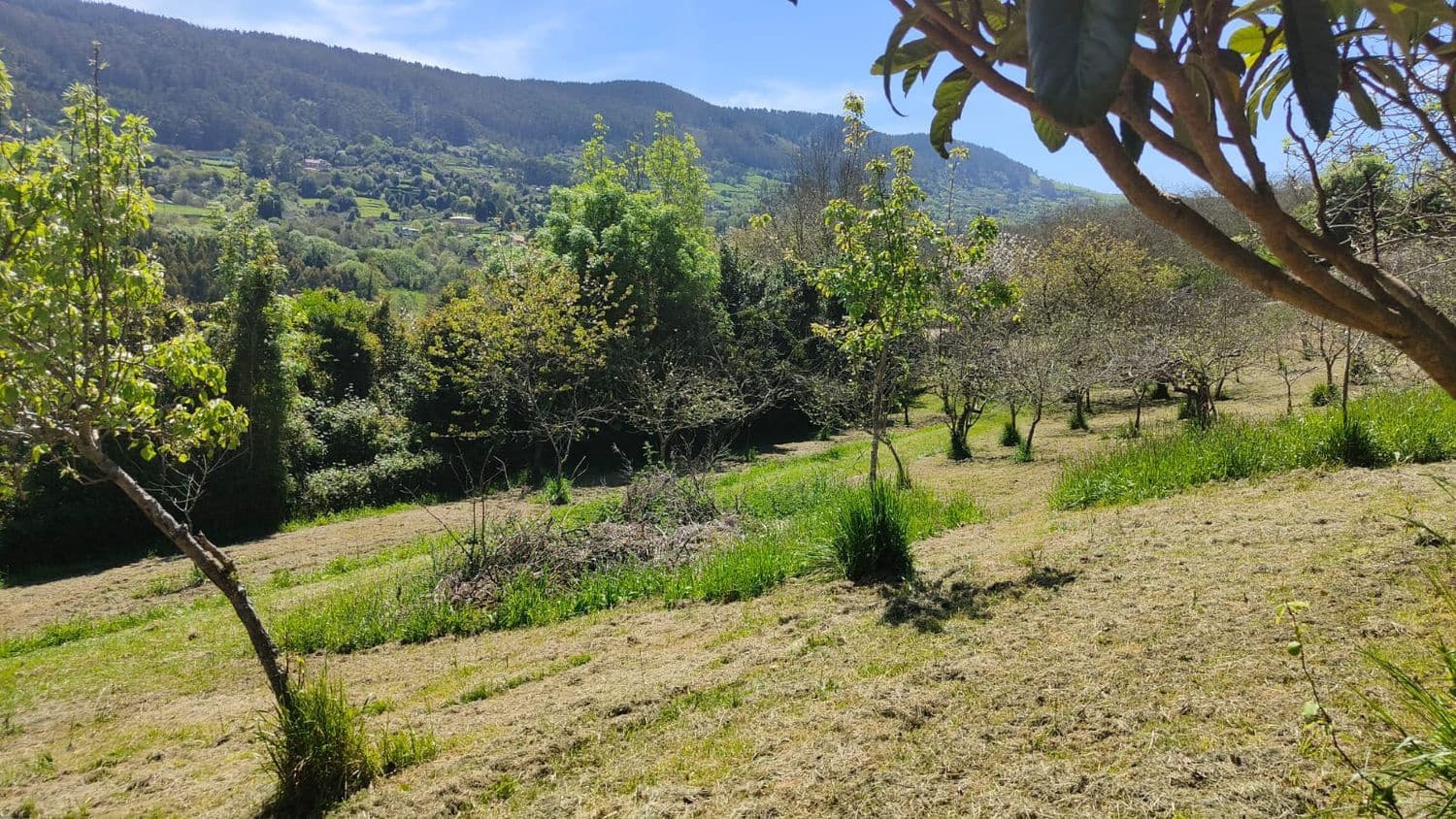 Grond te koop in Gijon - € 36.000 (Ref: 8956872)