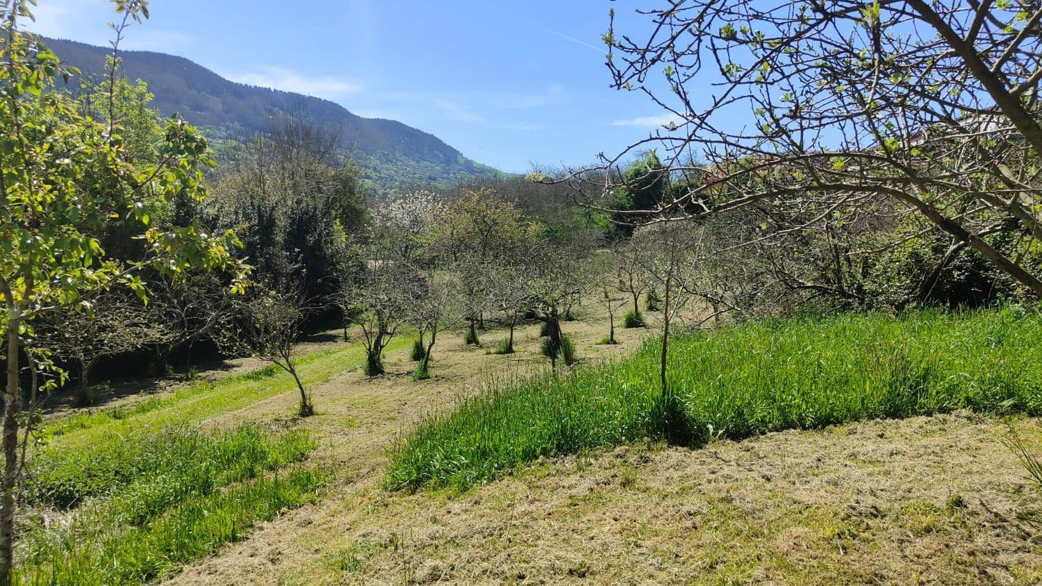 Grond te koop in Gijon - € 36.000 (Ref: 8956872)