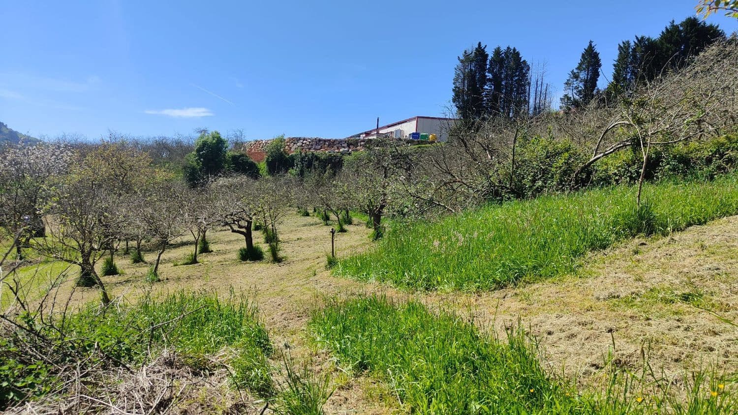 Grond te koop in Gijon - € 36.000 (Ref: 8956872)