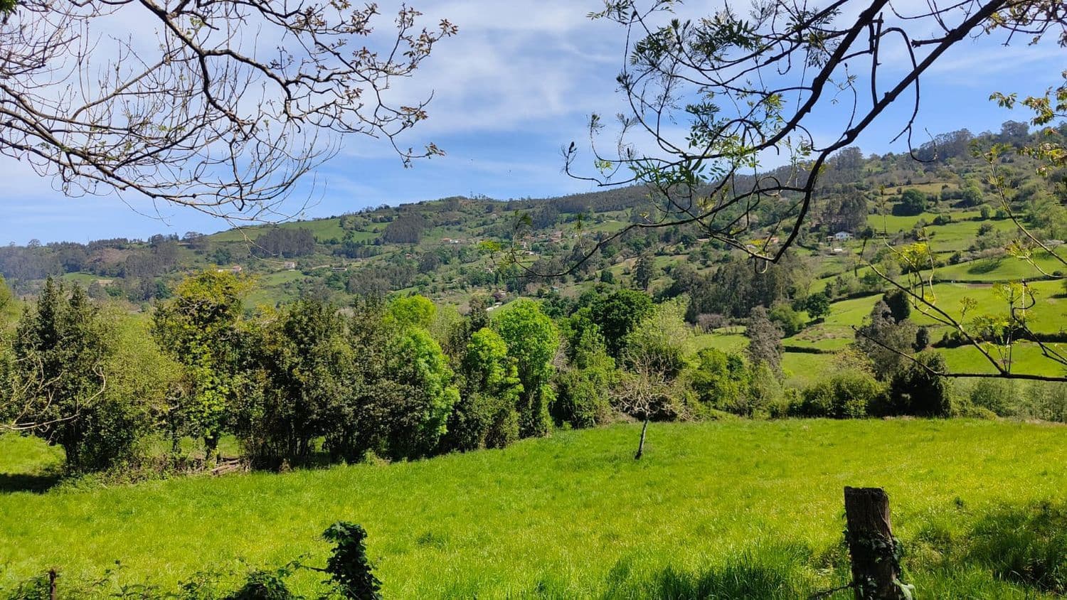 Grond te koop in Gijon - € 36.000 (Ref: 8956872)