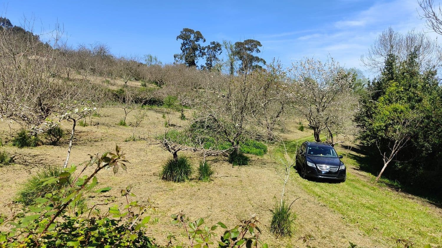 Grond te koop in Gijon - € 36.000 (Ref: 8956872)