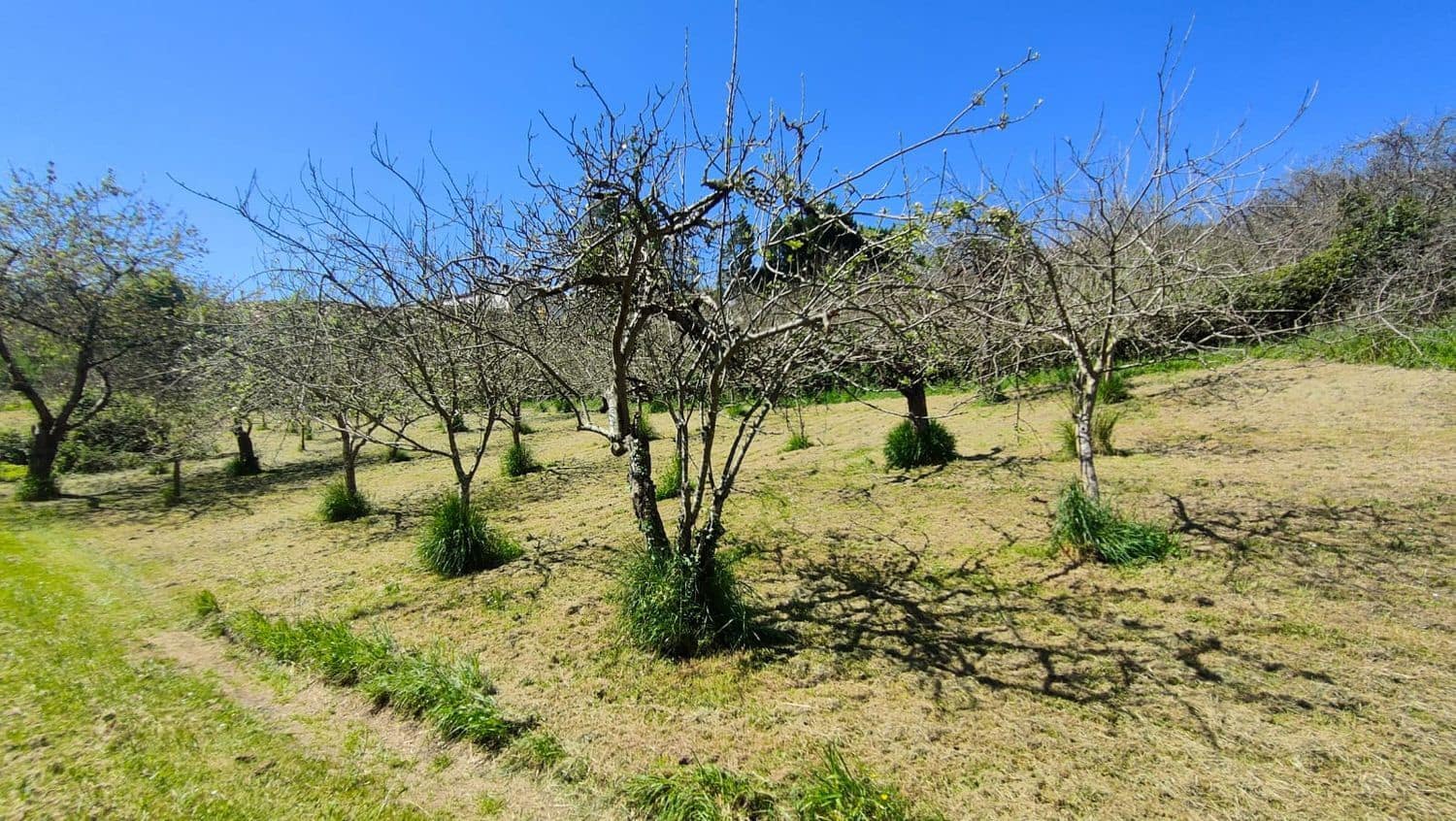 Grond te koop in Gijon - € 36.000 (Ref: 8956872)