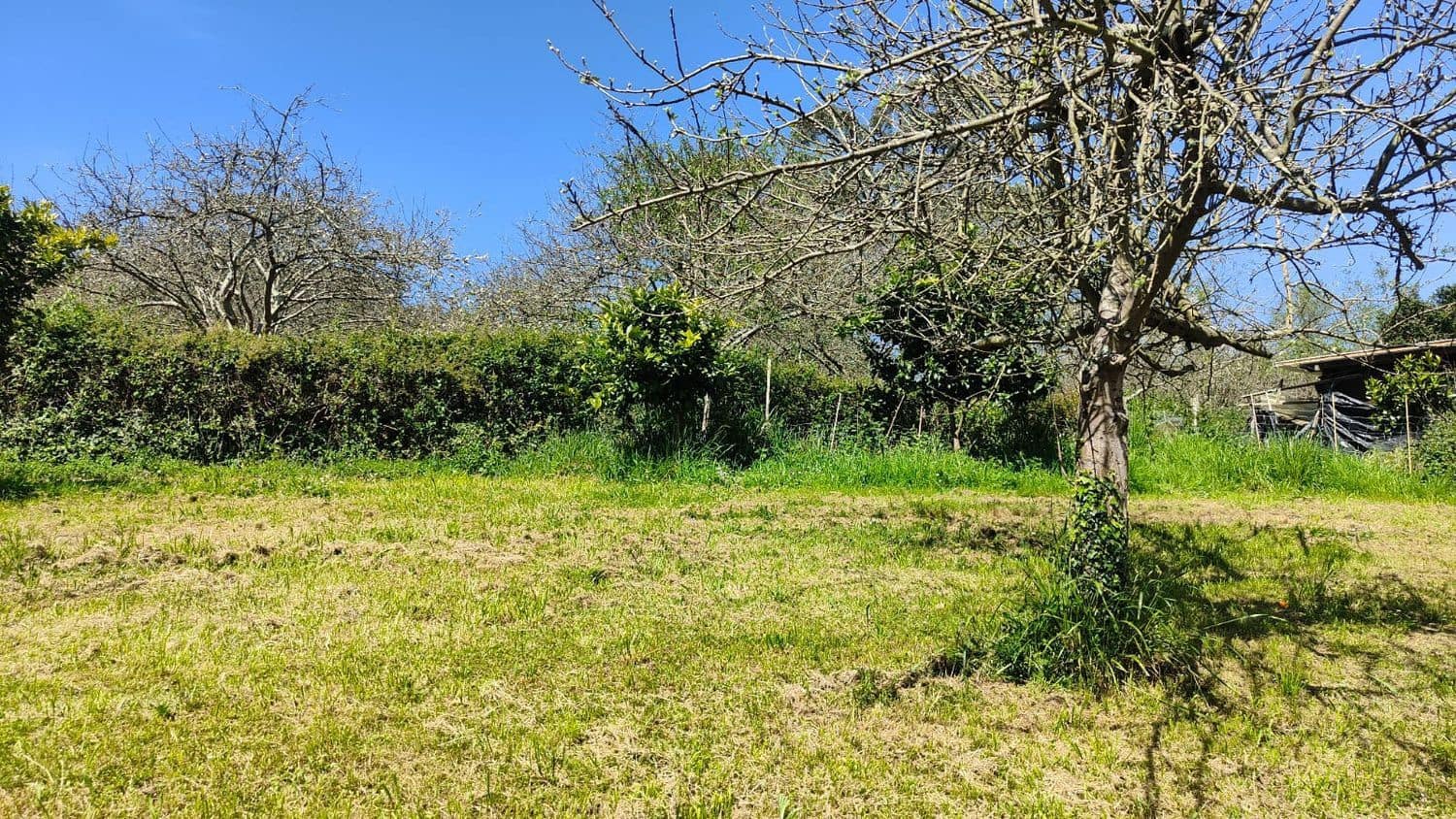 Grond te koop in Gijon - € 36.000 (Ref: 8956872)