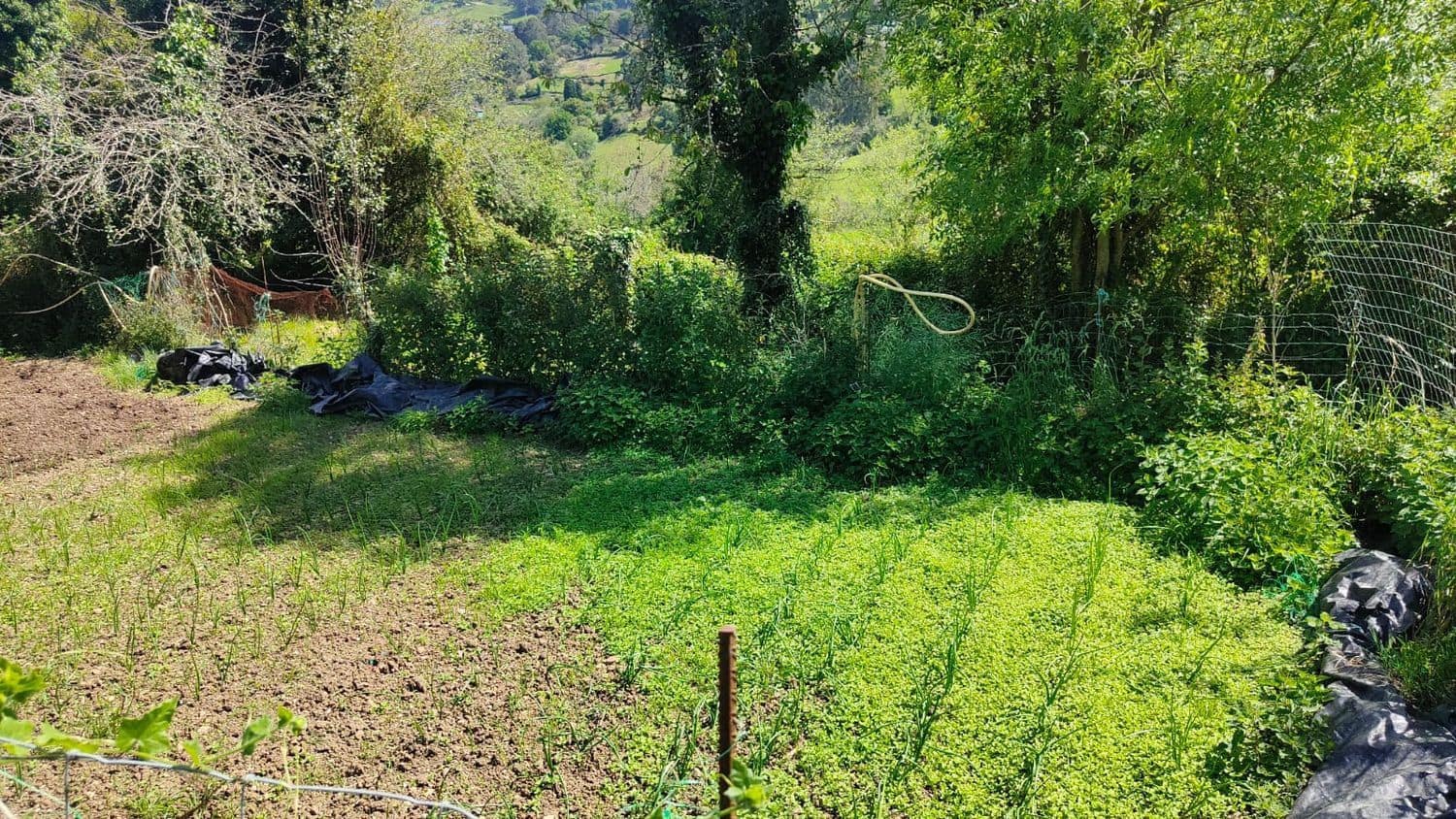 Grond te koop in Gijon - € 36.000 (Ref: 8956872)