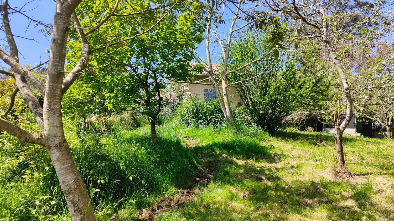 Grond te koop in Gijon - € 36.000 (Ref: 8956872)