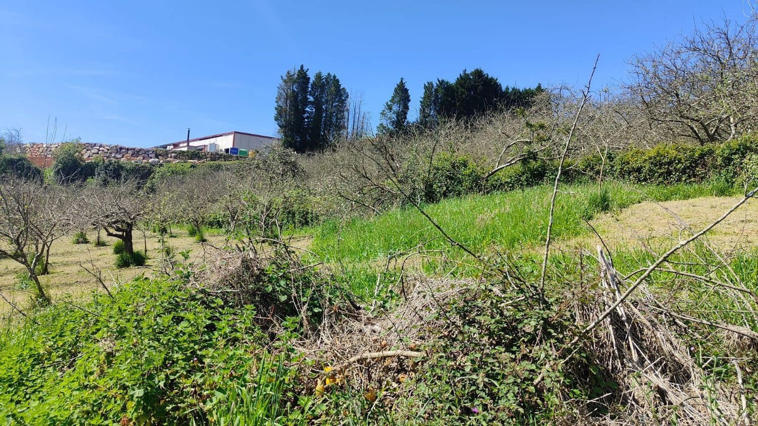 Grond te koop in Gijon - € 36.000 (Ref: 8956872)