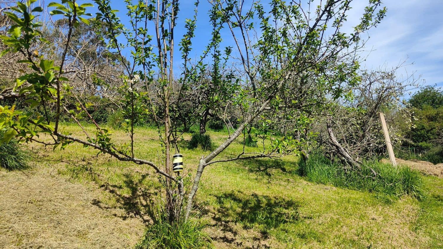 Grond te koop in Gijon - € 36.000 (Ref: 8956872)