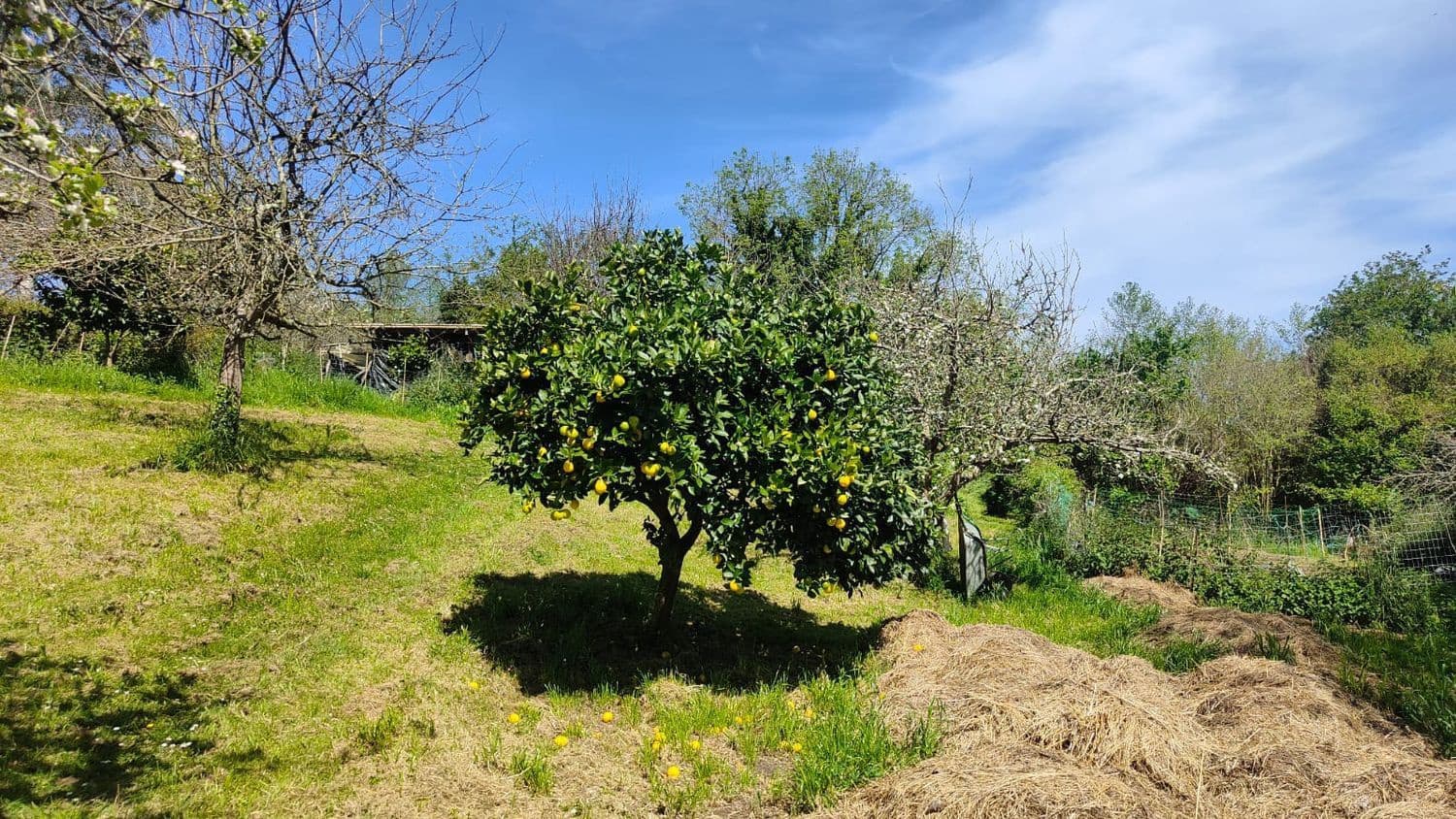 Grond te koop in Gijon - € 36.000 (Ref: 8956872)