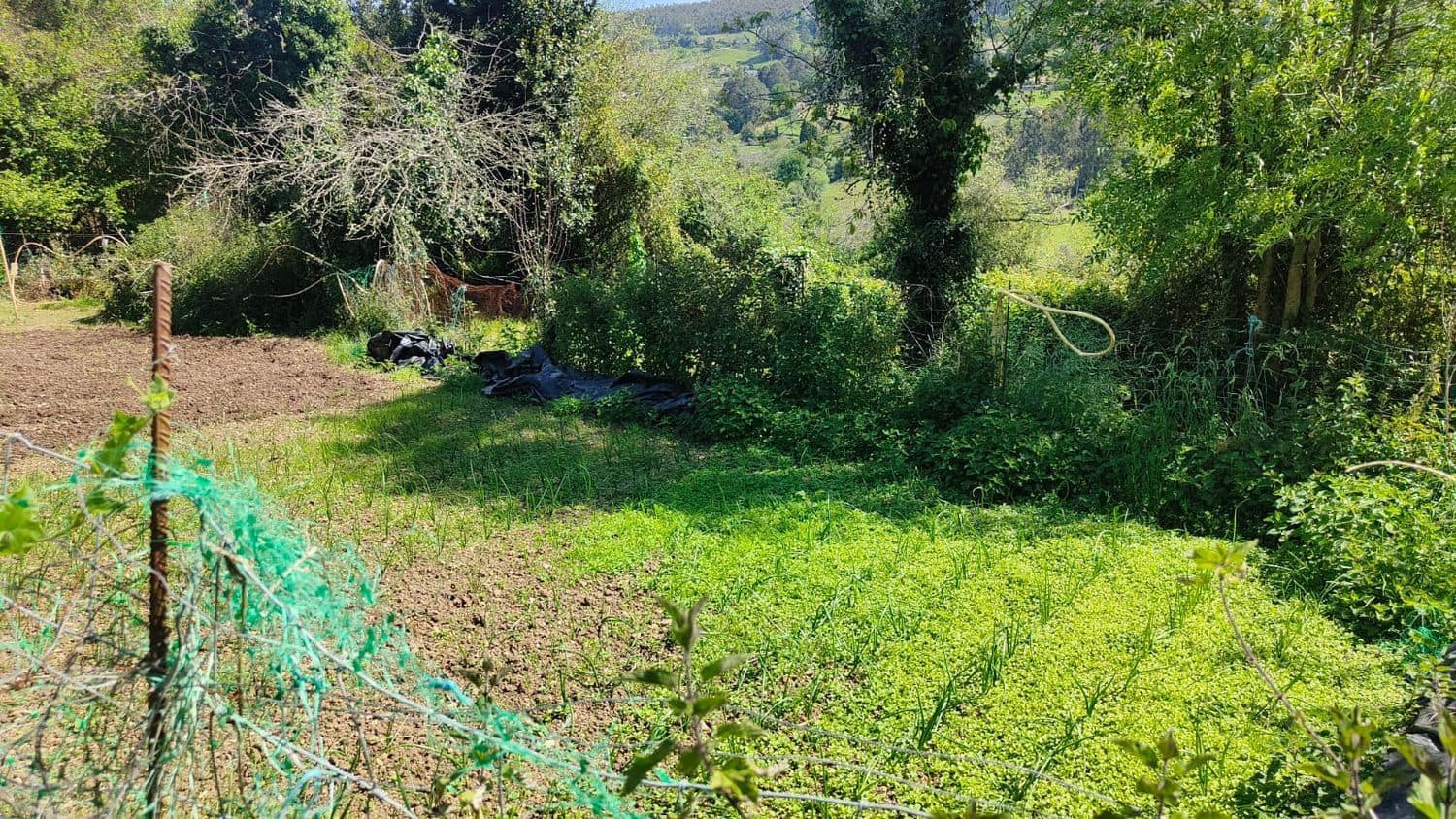 Grond te koop in Gijon - € 36.000 (Ref: 8956872)