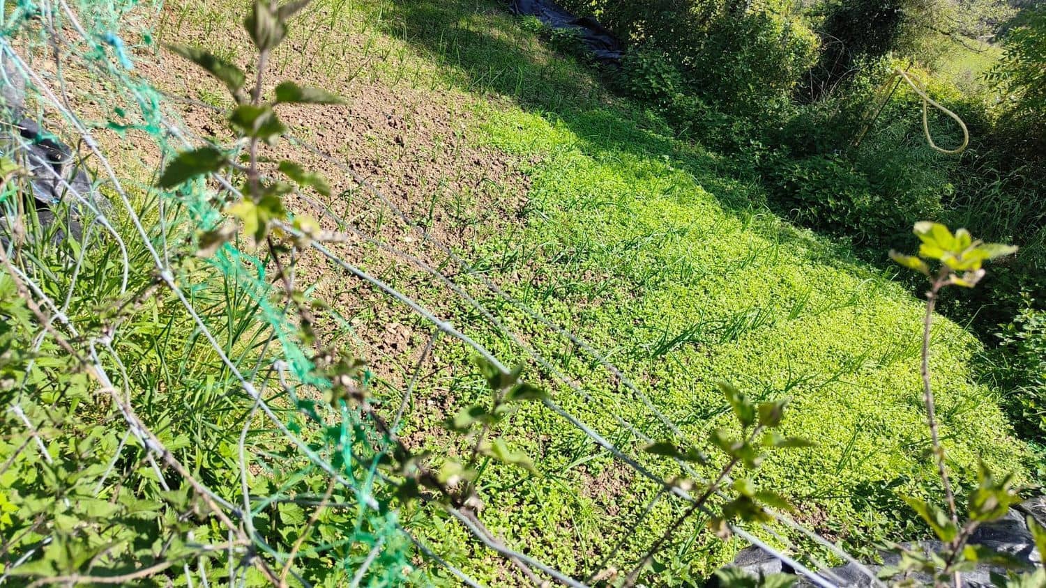 Grond te koop in Gijon - € 36.000 (Ref: 8956872)