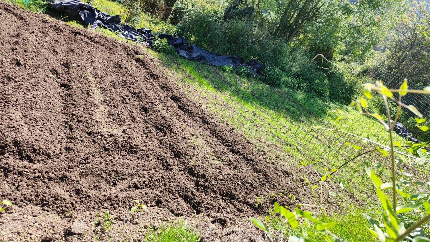 Grond te koop in Gijon - € 36.000 (Ref: 8956872)