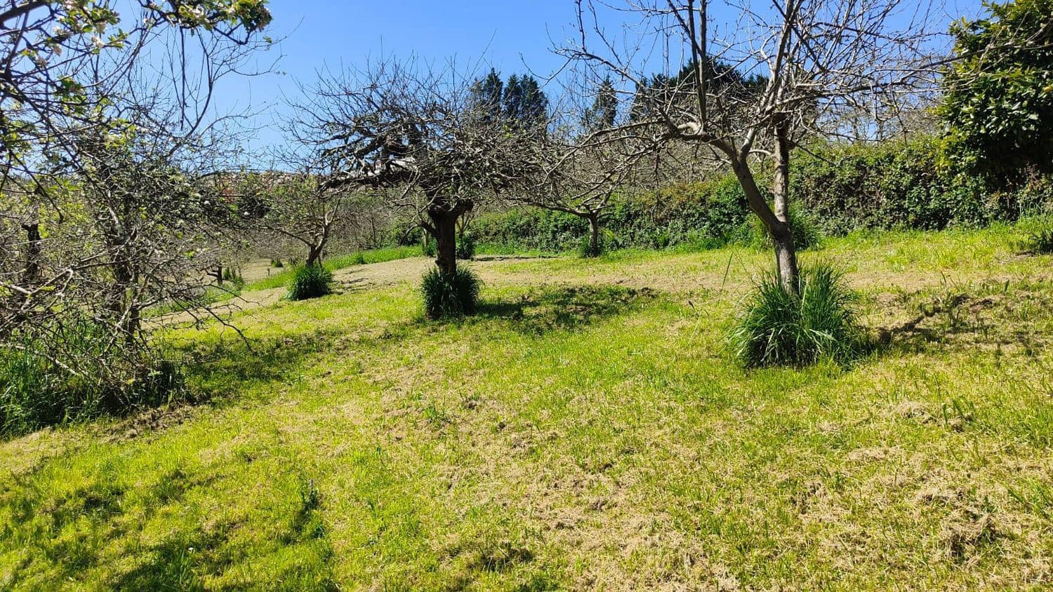 Grond te koop in Gijon - € 36.000 (Ref: 8956872)