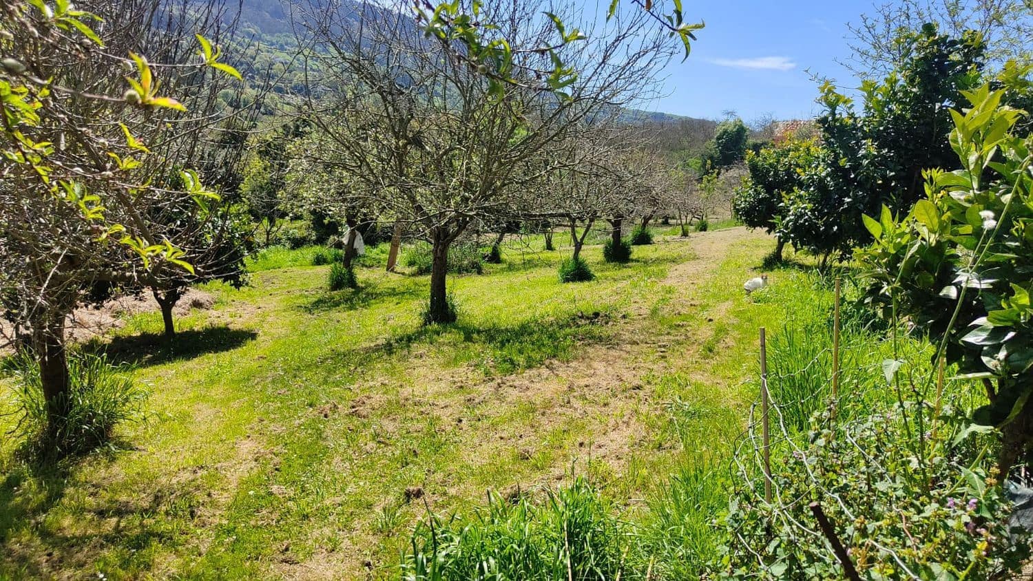 Grond te koop in Gijon - € 36.000 (Ref: 8956872)