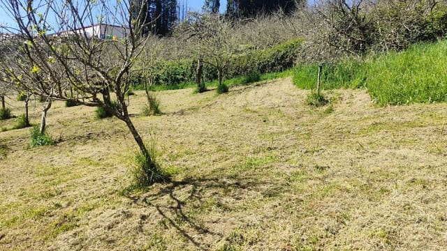 Mark till salu i Gijón - 36 000 € (Ref: 8956872)