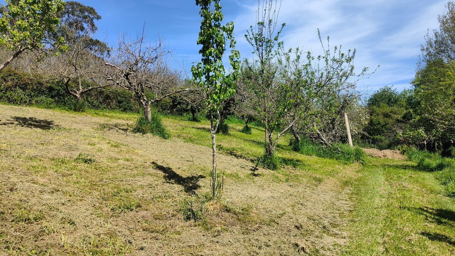 Grond te koop in Gijon - € 36.000 (Ref: 8956872)