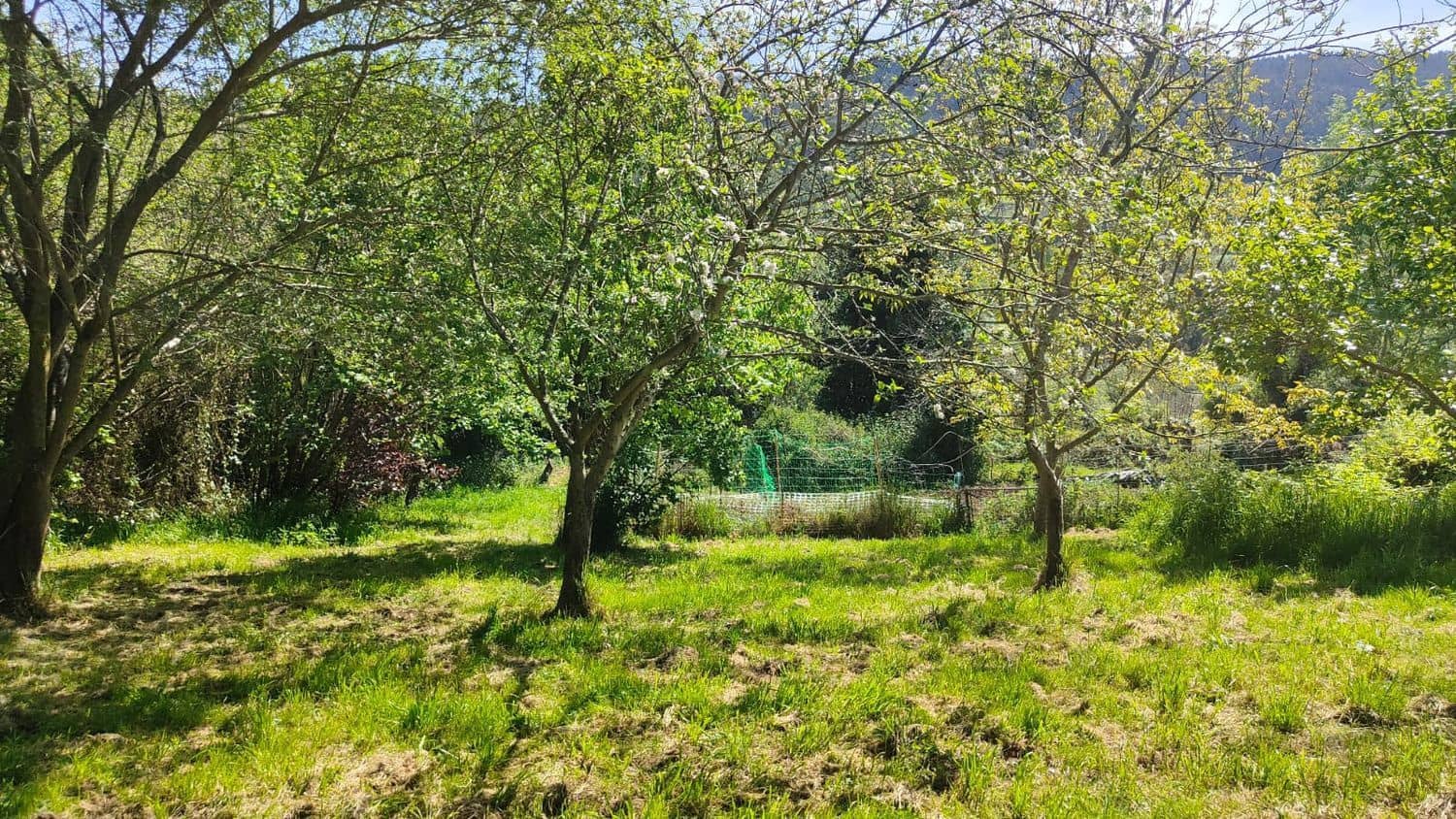 Grond te koop in Gijon - € 36.000 (Ref: 8956872)