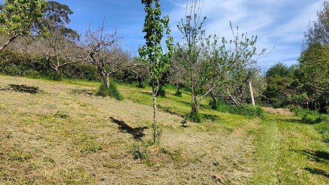 Mark till salu i Gijón - 36 000 € (Ref: 8956872)