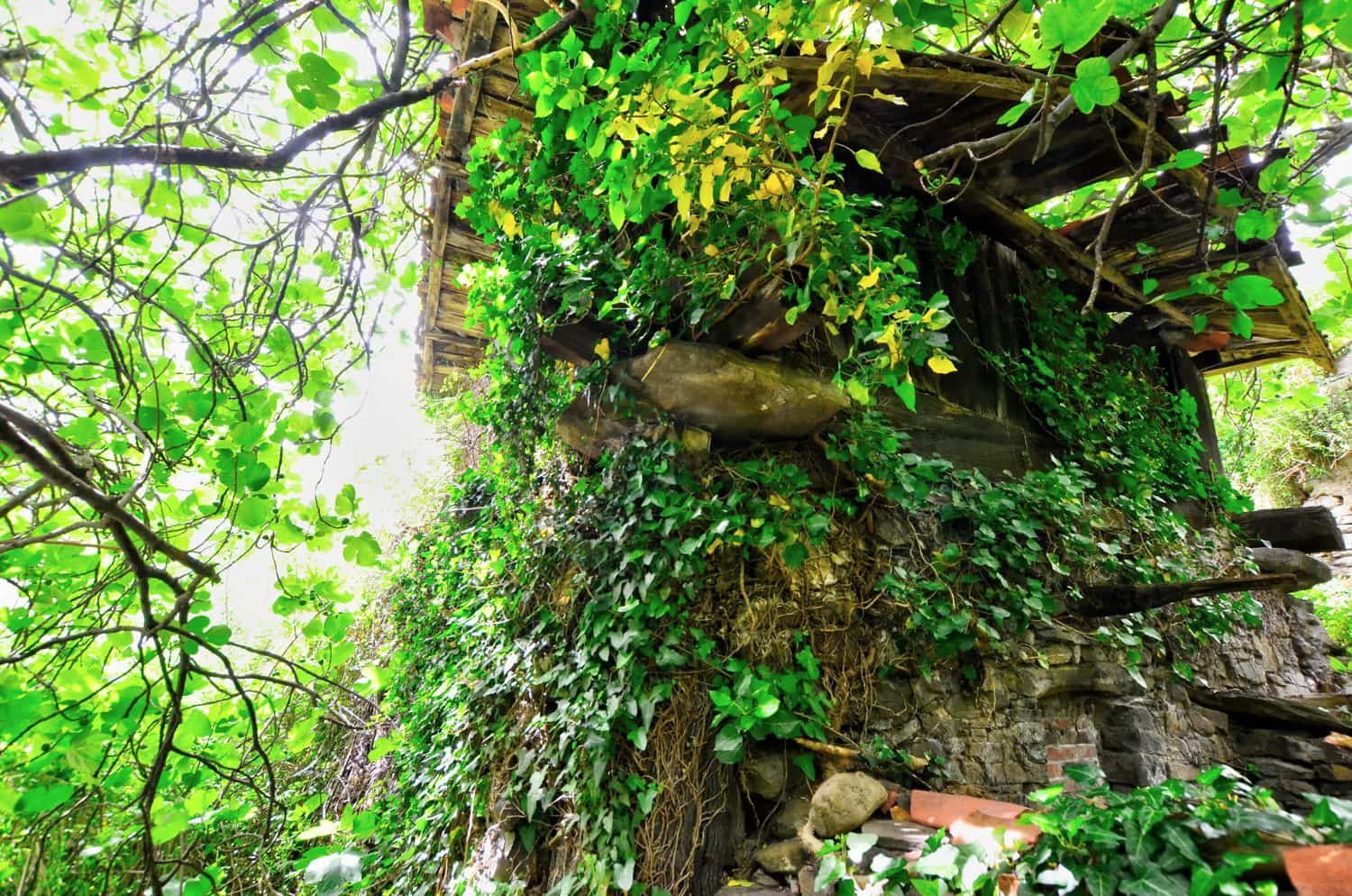 1 soveværelse Finca/Landehus til salg i Mieres med garage - € 9.000 (Ref: 8971794)