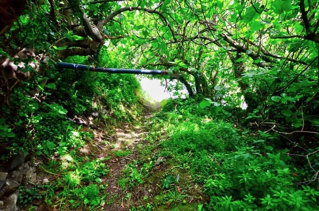 1 camera da letto Finca/Casa di Campagna in vendita in Mieres con garage - 9.000 € (Rif: 8971794)