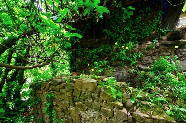 1 camera da letto Finca/Casa di Campagna in vendita in Mieres con garage - 9.000 € (Rif: 8971794)