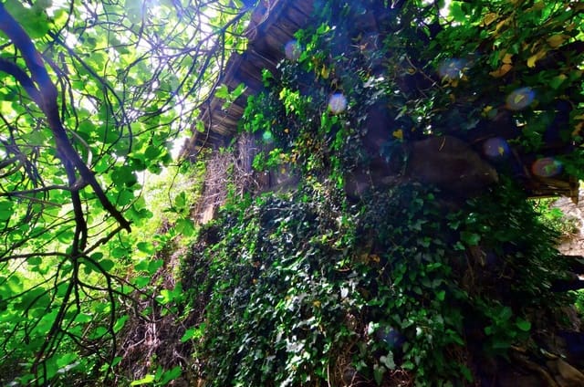 1 camera da letto Finca/Casa di Campagna in vendita in Mieres con garage - 9.000 € (Rif: 8971794)