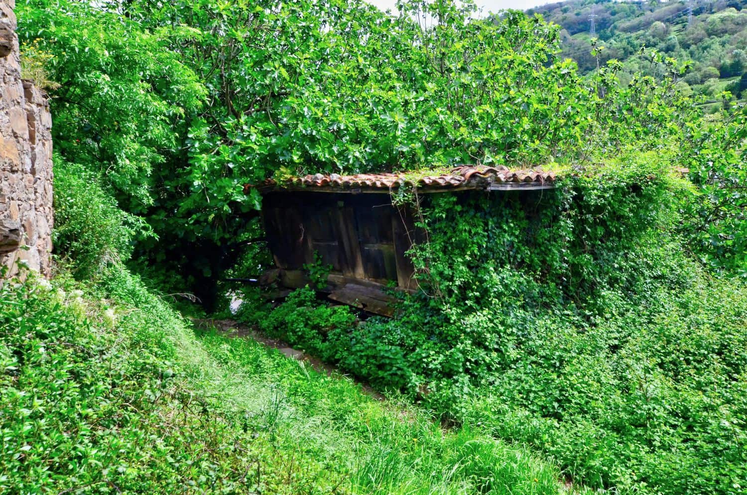 1 soveværelse Finca/Landehus til salg i Mieres med garage - € 9.000 (Ref: 8971794)