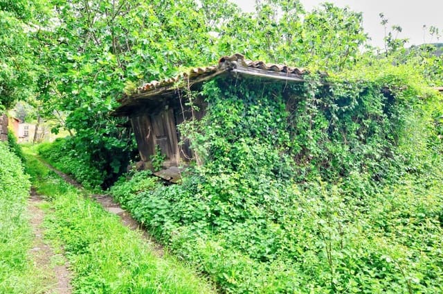 1 camera da letto Finca/Casa di Campagna in vendita in Mieres con garage - 9.000 € (Rif: 8971794)