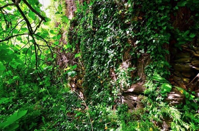 1 camera da letto Finca/Casa di Campagna in vendita in Mieres con garage - 9.000 € (Rif: 8971794)