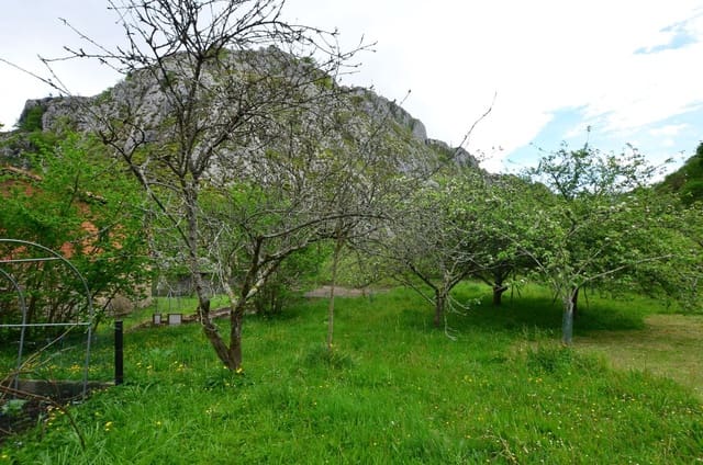 2 soverom Finca/Herregård til salgs i Piloña med garasje - € 168 000 (Ref: 8971809)